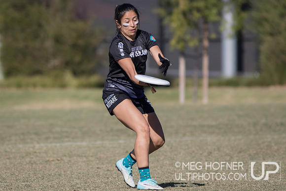 WFDF 2024 World Masters Ultimate Championships