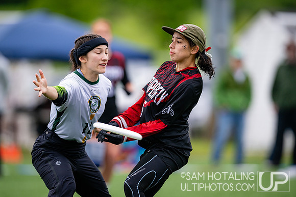 Semifinals at USAU DI College Championships