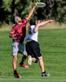Gravemaker v Surly